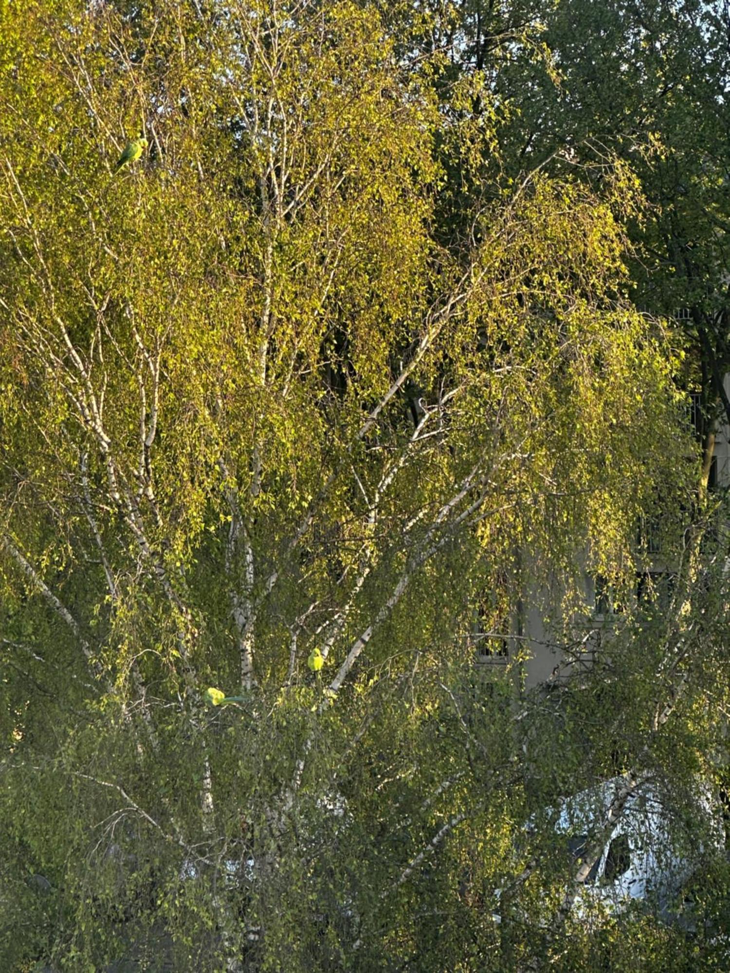Joli, Spacieux, Lumineux Proche Paris Et Orly Villejuif Εξωτερικό φωτογραφία